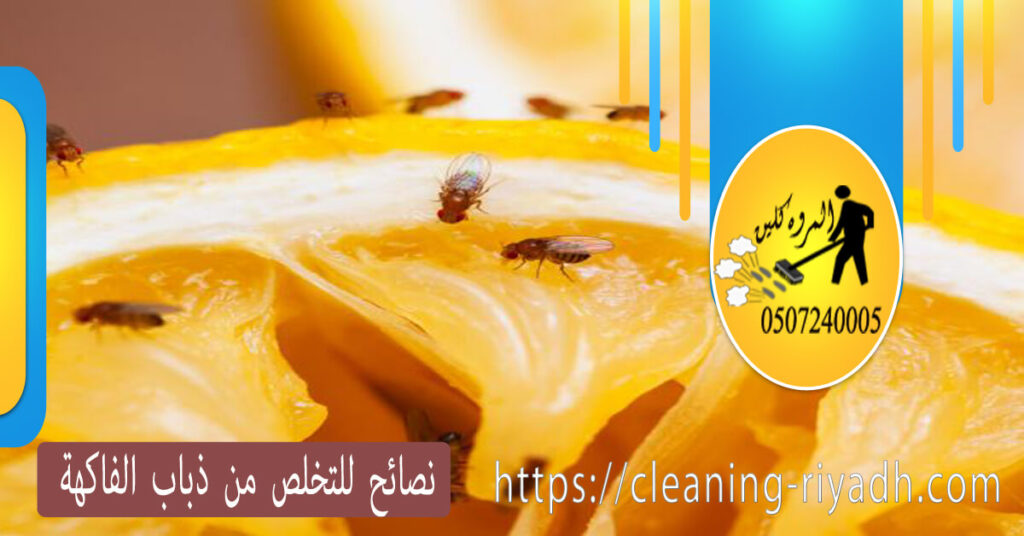 نصائح للتخلص من ذباب الفاكهة