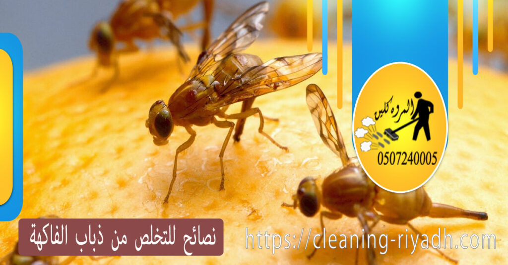 نصائح للتخلص من ذباب الفاكهة