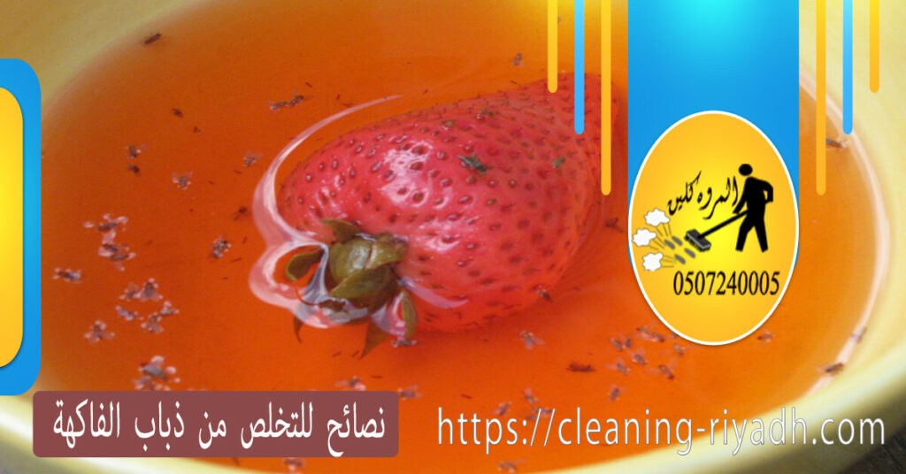 نصائح للتخلص من ذباب الفاكهة